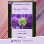 The poetry of flowers Suite - The magic of the flowers by Roxana Moișanu - cover